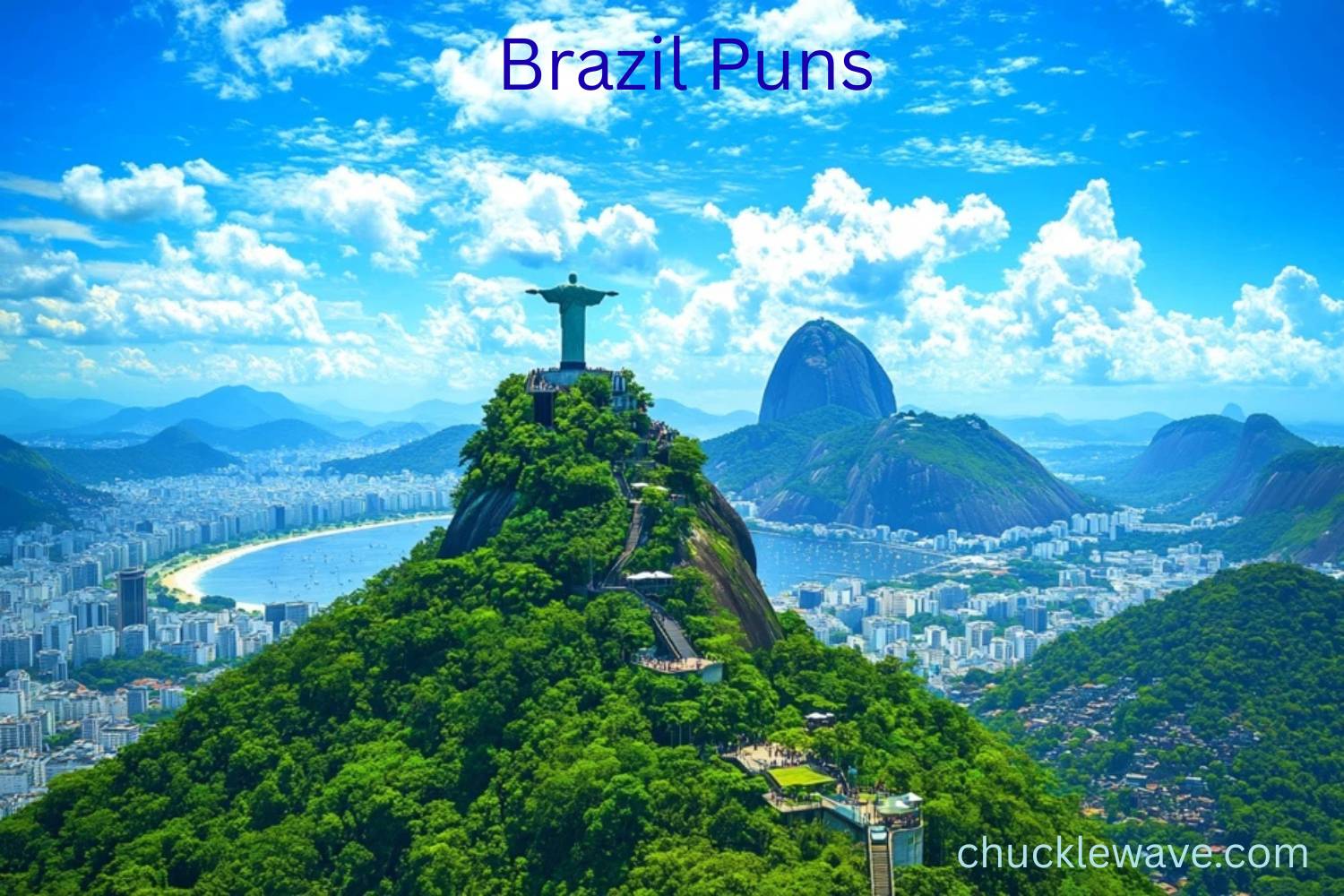 brazil puns
