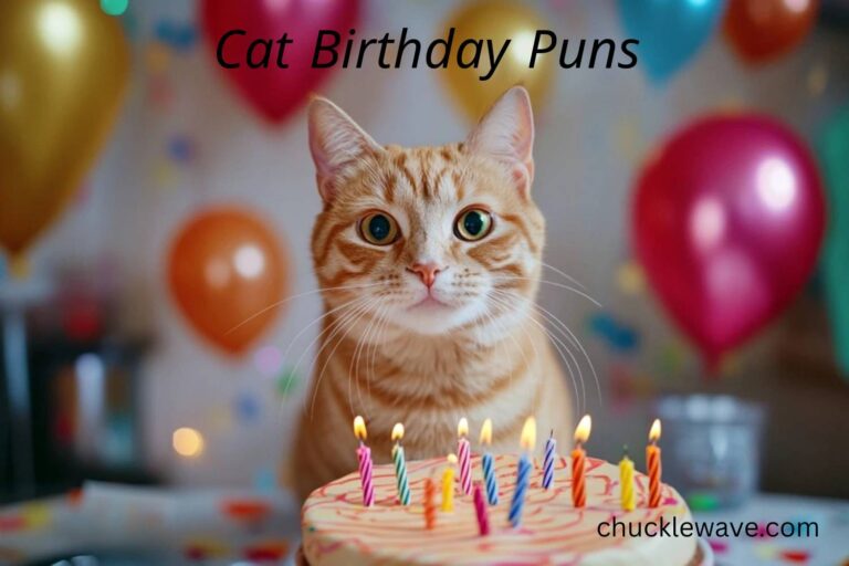 cat birthday puns
