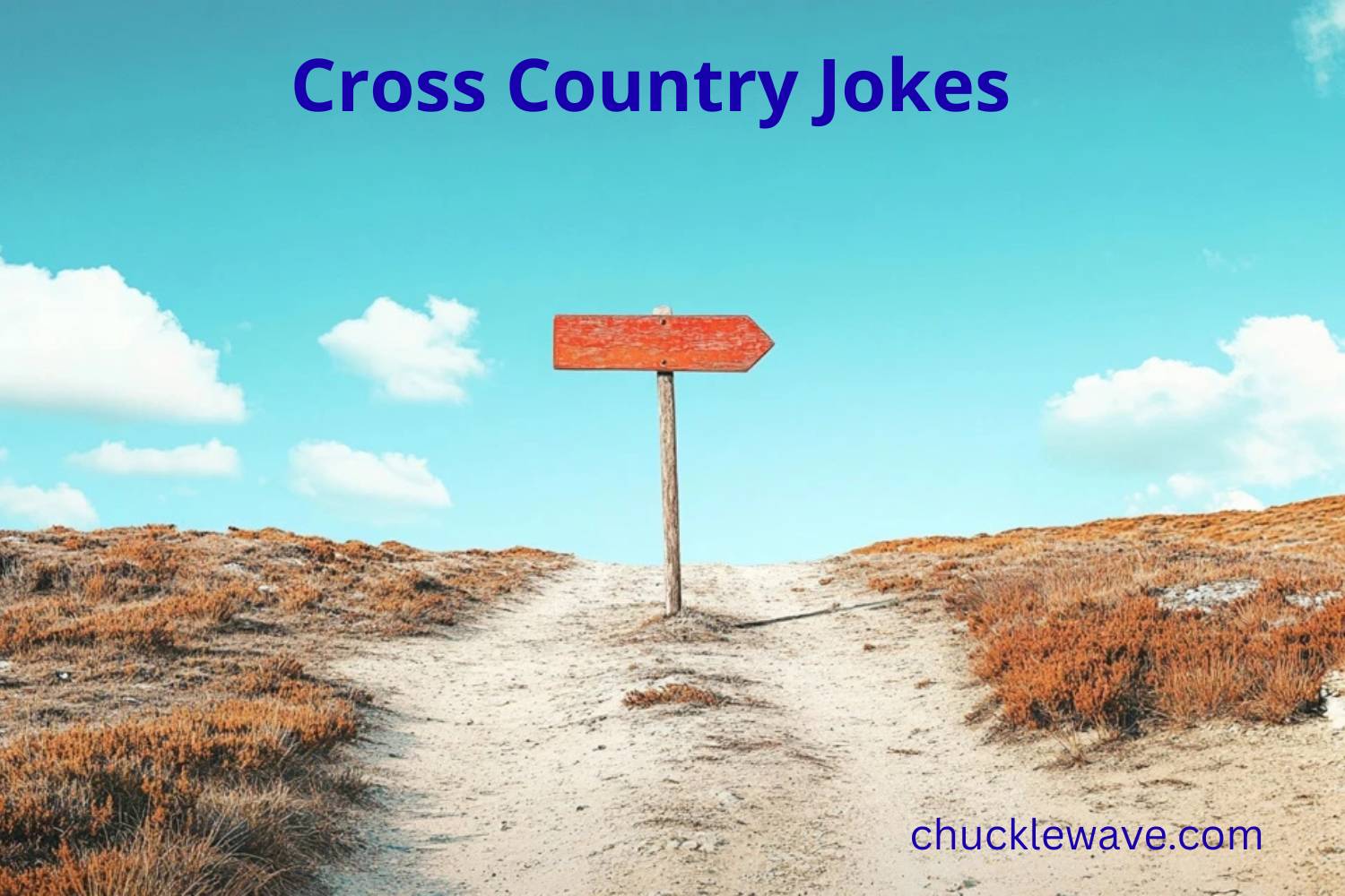 cross country jokes