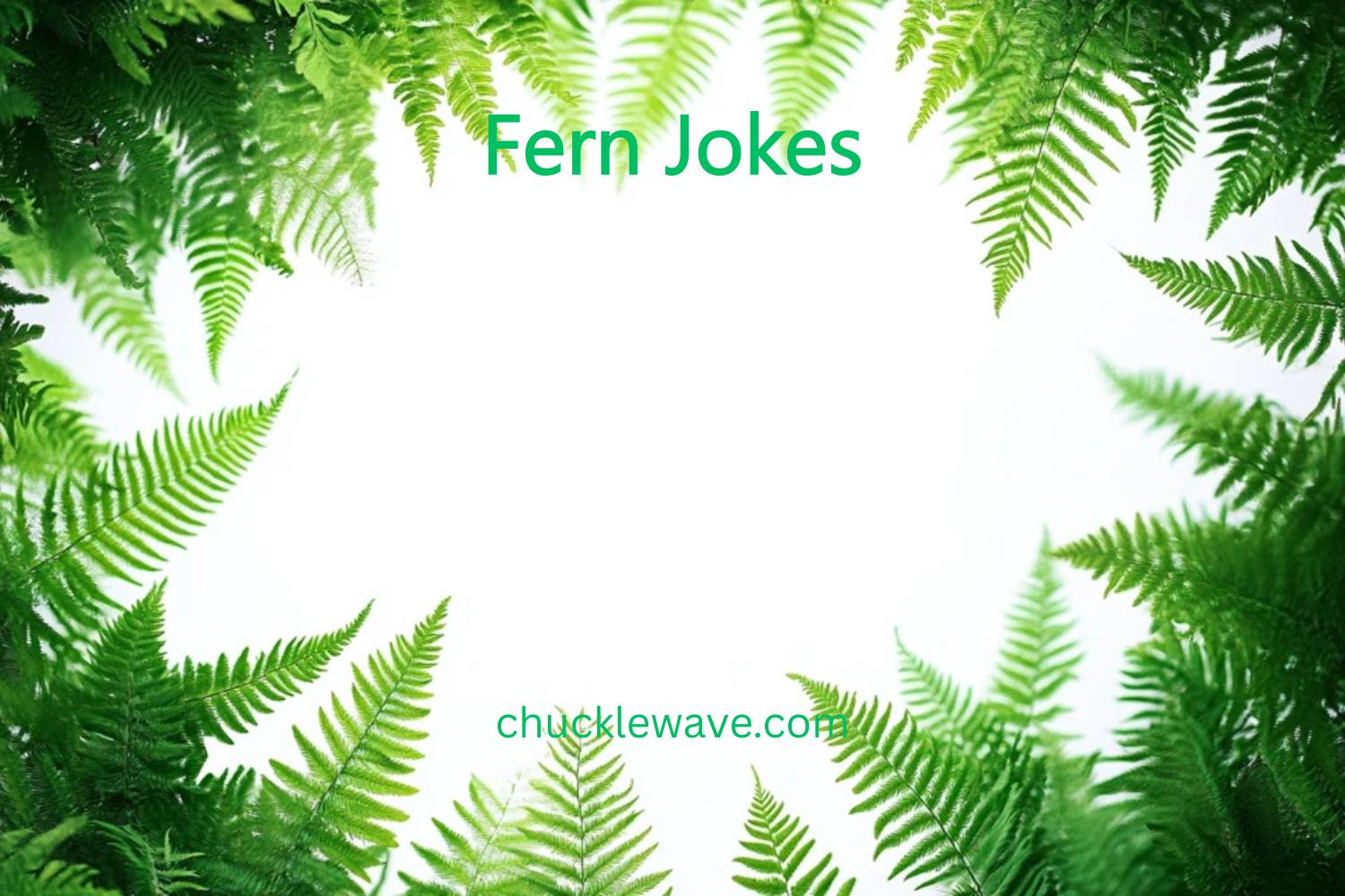 fern jokes
